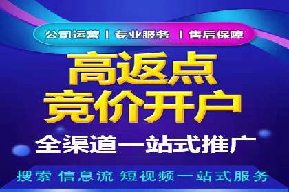 百度竞价SEM案例研究：提升转化率的关键策略